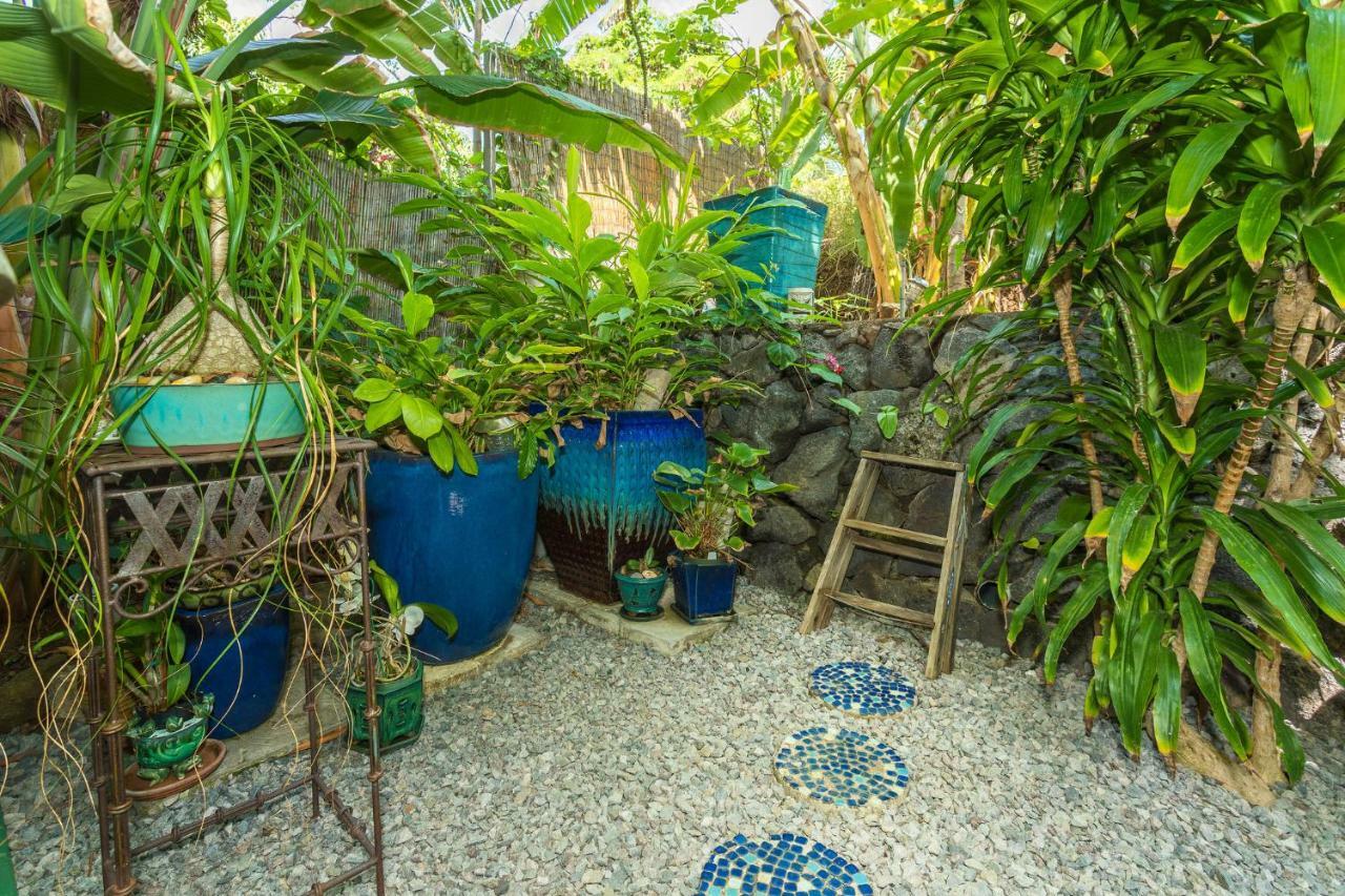 Mango Retreat Kailua-Kona Exterior foto